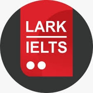 Lark IELTS